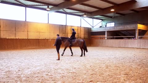 Dressage : obtenir plus de décontraction au trot