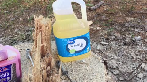 Using Vegetable Oil as bar oil for a chainsaw