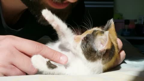 Hipster guy playing on the bed with his red cute little kitten. There is a real bond between them