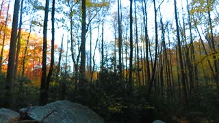 Cove Creek Falls; Western North Carolina