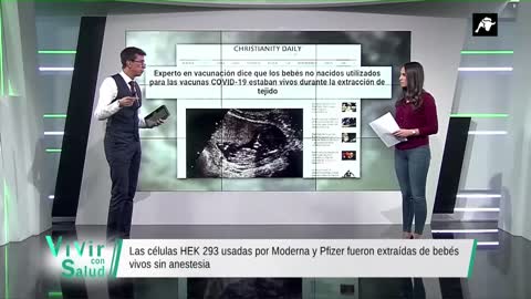 Las células HEK 293 usadas por Moderna y Pfizer fueron extraídas de bebés vivos sin anestesia