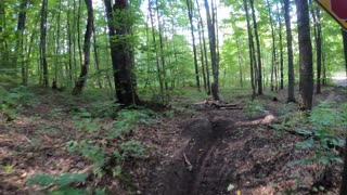 Tomahawk Loop B single track