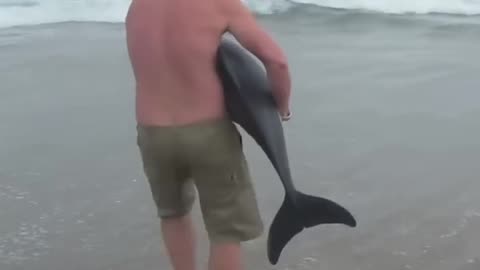 This man saved a young dolphin’s life ❤️