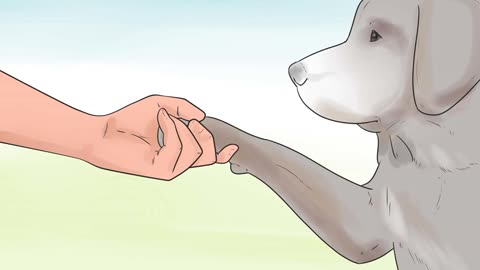 Teach your dog to shake with these simple tricks