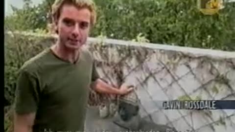 Gavin Rossdale - Bush - MTV Cribs