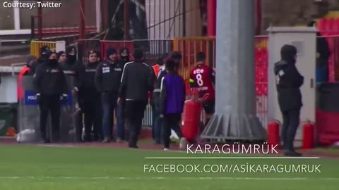 How a dog stops a football match