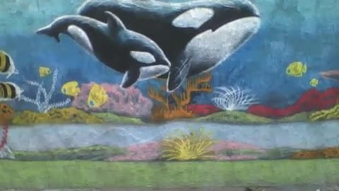 2 orcas painted on the street wall, there's other fish, bottom of the sea like [Nature & Animals]