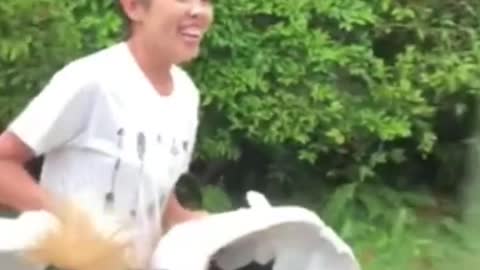 Woman seen carrying grey crowned crane near MacRitchie Reservoir