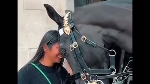 instant connection 👩♥️🐴