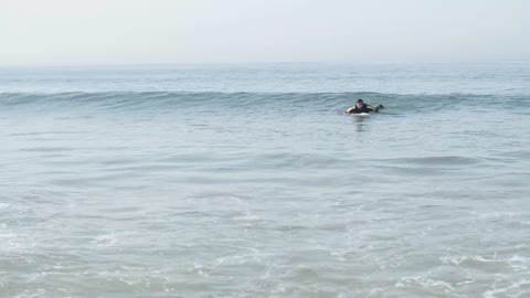 Aerial Footage of People Surfing