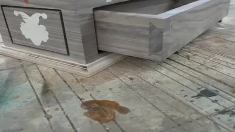 Creative Woodworking Ideas - Woodworking Hunter