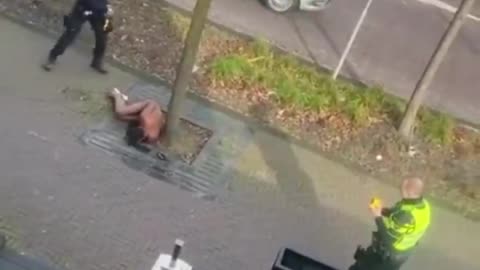 Dutch police shoot the naked invader in the testicles with an electric gun.