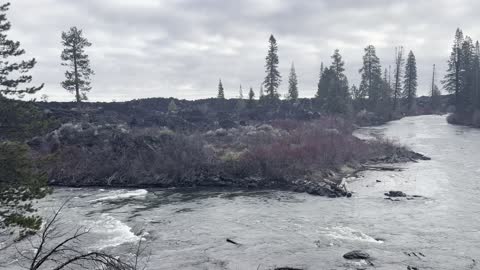 Wilderness Exploring on Deschutes River Trail – Central Oregon – 4K