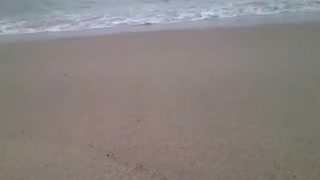 Filming the waves of the sea on a sunny day [Nature & Animals]