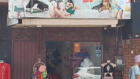 Dogs Look Like They're Enjoying a Beach Day