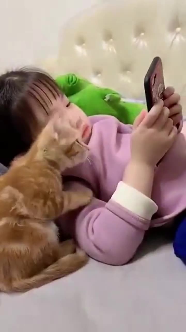 Cute cat and baby watching cartoon movies.