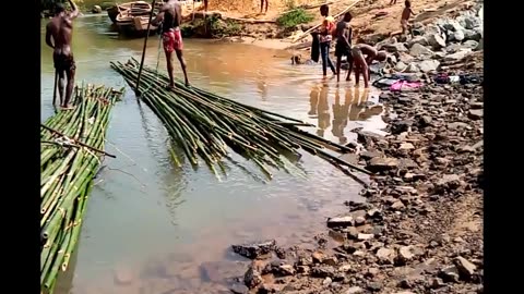 CRUDE OIL RIVER (PART 2): HARVEST OF BAMBOO