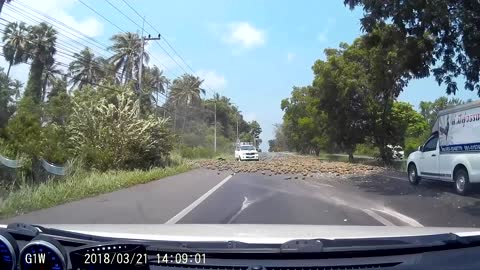 Pineapple Truck Wrecks While Driving