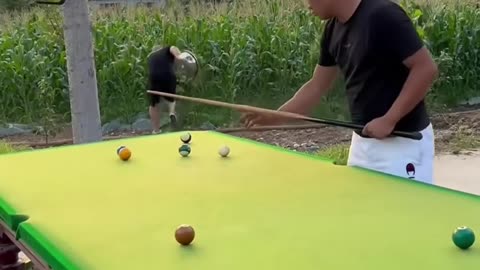 Funny Billiard Video Millions of Views