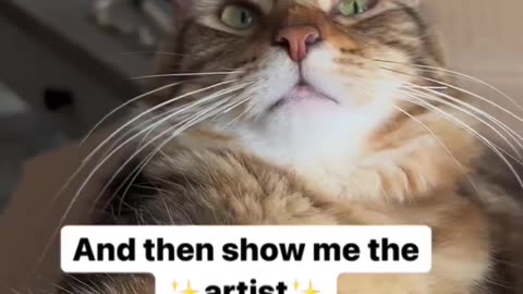 Cat Says Show Me The Art