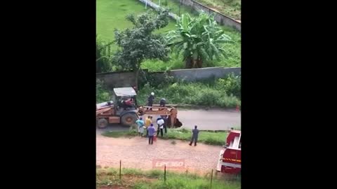 Firemen rescuing horse from hole - higher angle