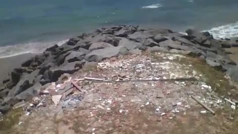 Walking towards the rocks of the beach, and showing the sea on a sunny day [Nature & Animals]