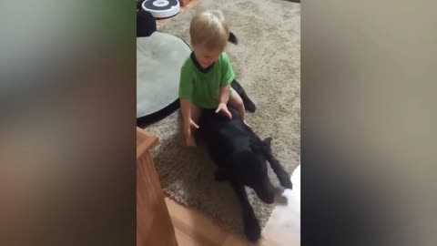 children playing with their adorable little puppies