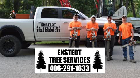 Ekstedt Tree Services