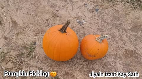 Pumkin Picking 🎃 At Pumpkin Farm USA 2021