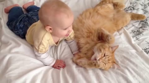 Cute baby is welcomed and pampered by a cat #4 - extremfunnystuff