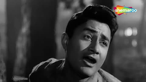 Abhi Na Jaao Chhod Kar _ Dev Anand _ Sadhana _ Mohd Rafi _ Asha Bhosle _ Hum Dono (1961)