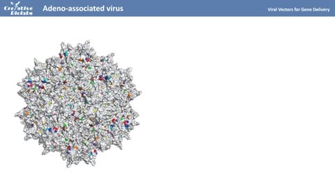 Gene Delivery Systems in Gene Therapy