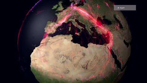 Global animal movements based on Movebank data (globe)