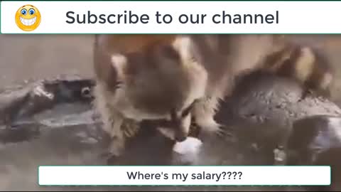 Where's my salary?????