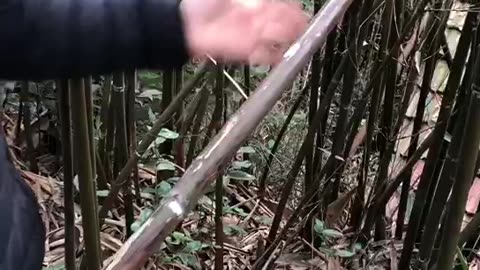 Fm Bamboo-First Step Of Chinese Bamboo Flutes Making