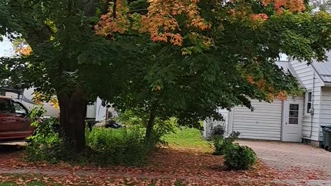 Fall colors showing the glory of God, praise Him as you drive to see.