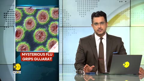 India: Mysterious flu in Gujarat kills at least 13 within days of heavy rains | English News | WION