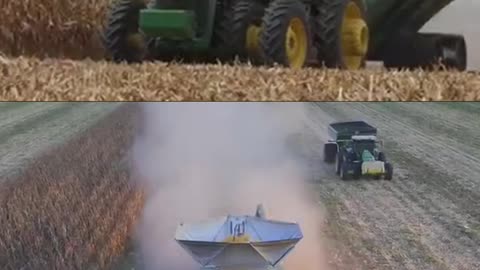 Corn Harvesting - Top Technology in Agriculture