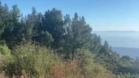 Hilltop views in Santa Barbara