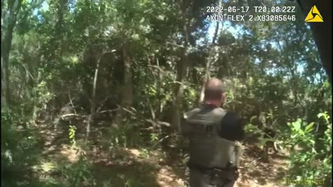 AR-15 rifle recovered after carjacking suspects lead Volusia deputies on a chase