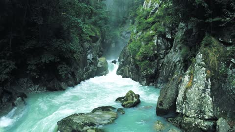 A river flows through a forest with a breathtaking sound