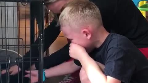 Boy Sheds Tears of Joy over New Puppy