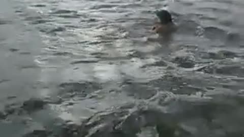 Swimming in the river