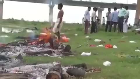 Gran número de muertos por Covid-19 flotan en el río Ganges en India