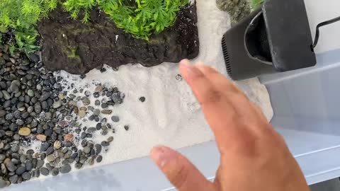 DIY MINI Plastic Bin POND for Endangered Baby Turtles!