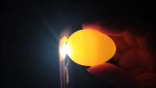 Candling More Bantam Eggs