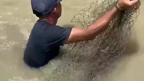 Amazing Cast Net Fishing Skills