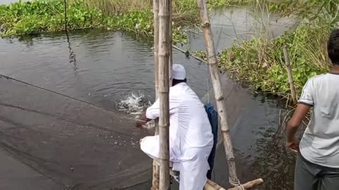 Village Fishing in Field