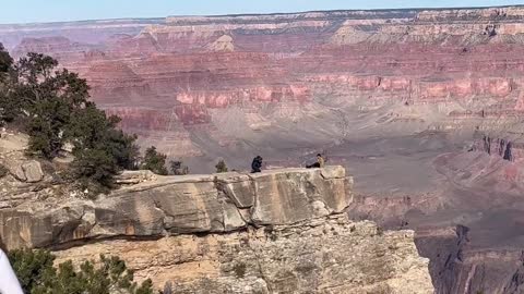 Scary moments from the Grand Canyon