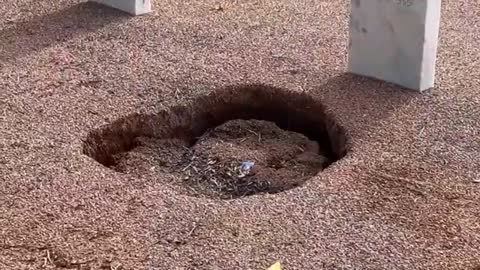 Recent rain storms in El Paso causing dozens of graves to sink at Fort Bliss Nat